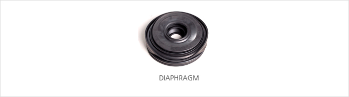 DIAPHRAGM